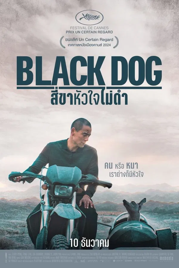 ดูหนัง Black Dog (2024) สี่ขาหัวใจไม่ดำ เต็มเรื่อง