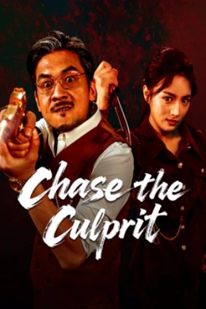 ดูหนัง Chase the Culprit (2025) ไล่ล่าวายร้าย เต็มเรื่อง