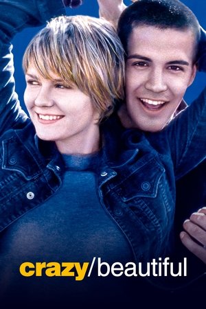 ดูหนัง Crazy/Beautiful (2001) รักร้อน วัยแรง เต็มเรื่อง