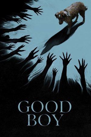 ดูหนัง Good Boy (2025) มะหมาเห็นผี เต็มเรื่อง