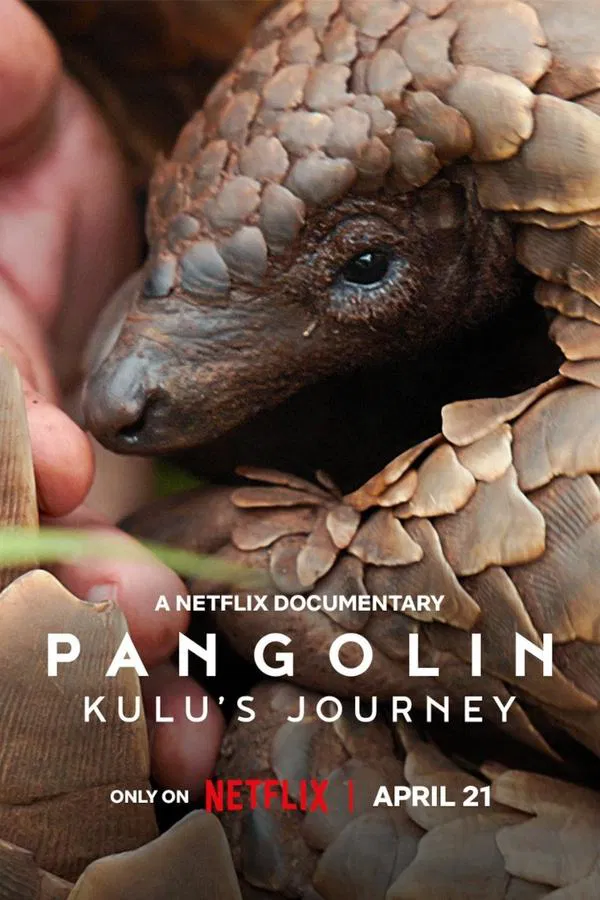 ดูหนัง Pangolin: Kulu’s Journey (2025) การเดินทางของคูลู เต็มเรื่อง