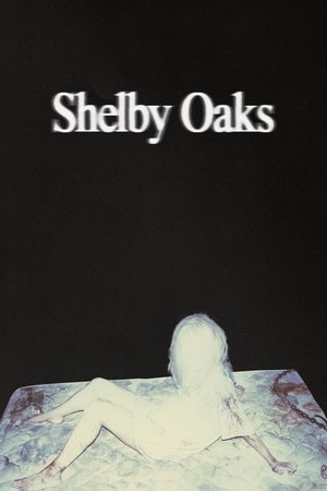 ดูหนัง Shelby Oaks (2025) เชลบี้ โอคส์ คลิปเฮี้ยน คดีหลอน เต็มเรื่อง