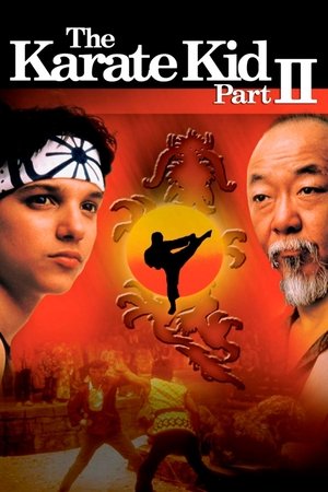 ดูหนัง The Karate Kid Part II (1986) คิด คิด ต้องสู้ ภาค 2 เต็มเรื่อง