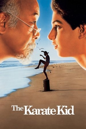 ดูหนัง The Karate Kid (1984) คิด คิด ต้องสู้ เต็มเรื่อง