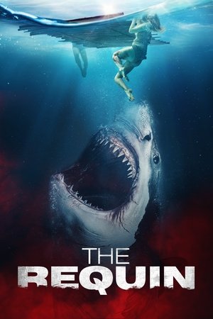 ดูหนัง The Requin (2022) เต็มเรื่อง