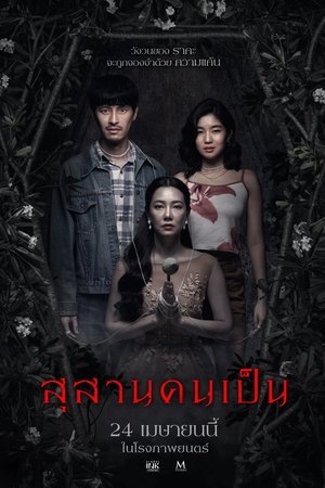 ดูหนัง Tomb Watcher (2025) สุสานคนเป็น เต็มเรื่อง