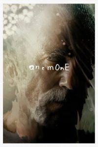 Anemone (2025) อะนีโมนี